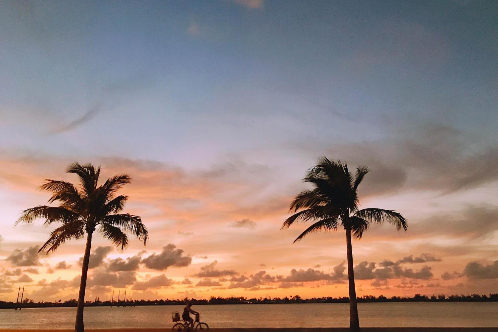 Truman Key West Rum bild