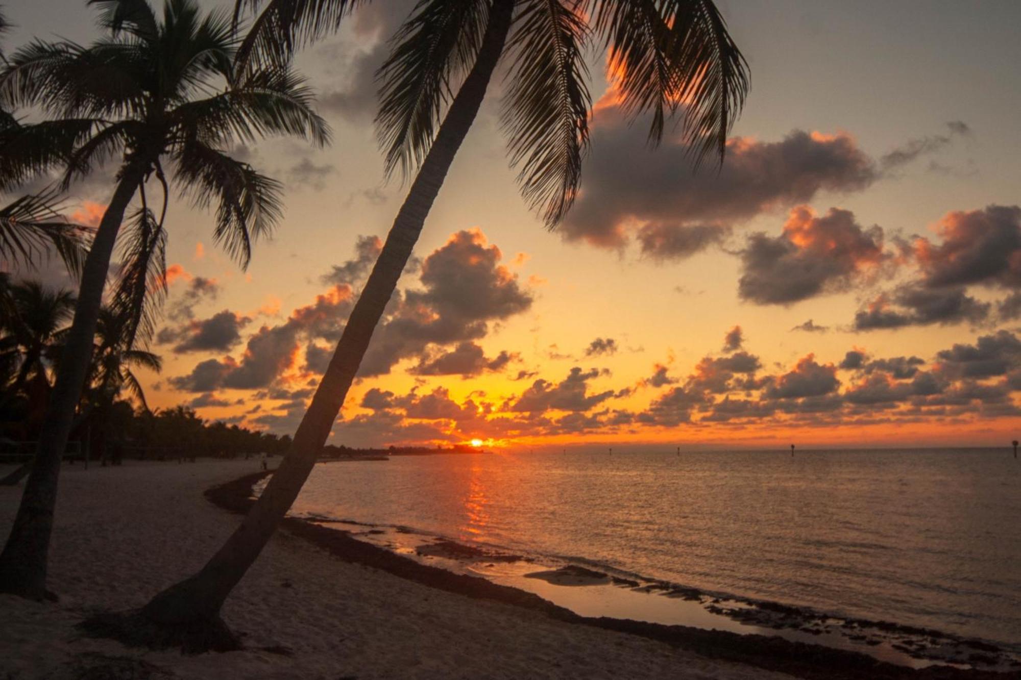 Truman Key West Rum bild